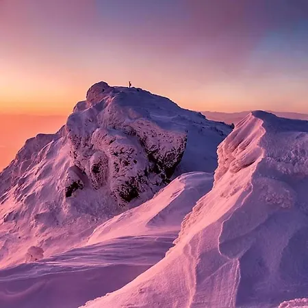 Arctic House 아파트