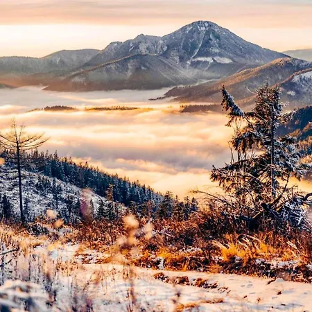 아파트 Arctic House 돌니 쿠빈